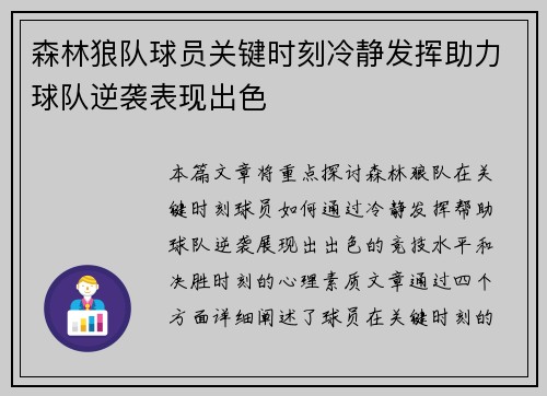 森林狼队球员关键时刻冷静发挥助力球队逆袭表现出色