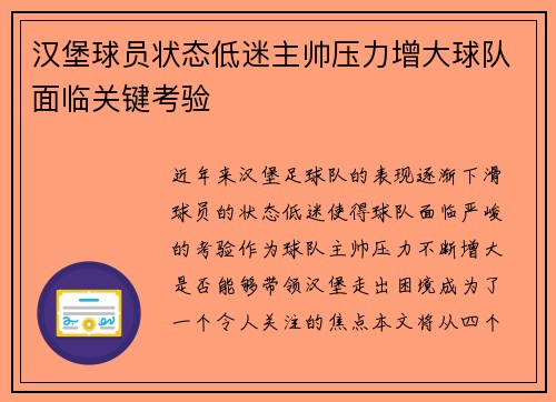 汉堡球员状态低迷主帅压力增大球队面临关键考验