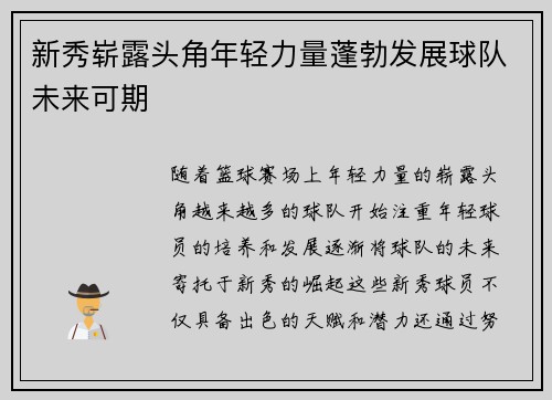 新秀崭露头角年轻力量蓬勃发展球队未来可期